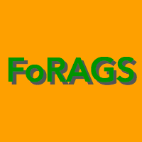 Solid orange fotor